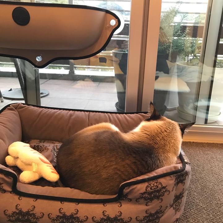 60652644 b808 460a 923e aa6314c54747 1553159659738