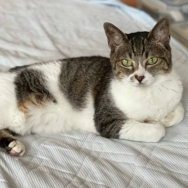 606537fb cb2a 4fca b779 da2383a26cda 1626574604273