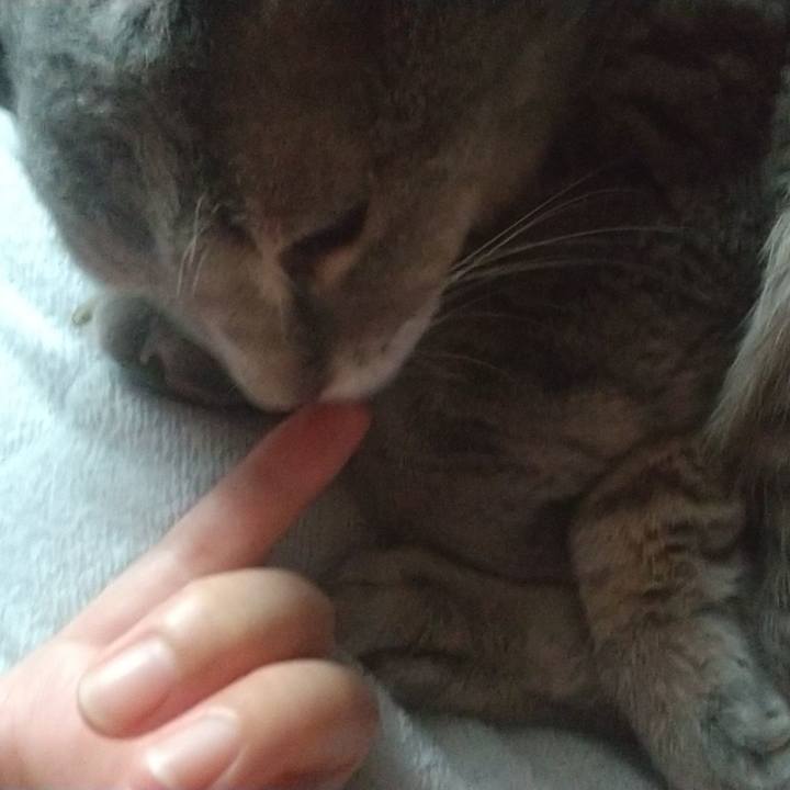 6065491c ab2d 4c04 b635 513ce90971ce 1662154656253