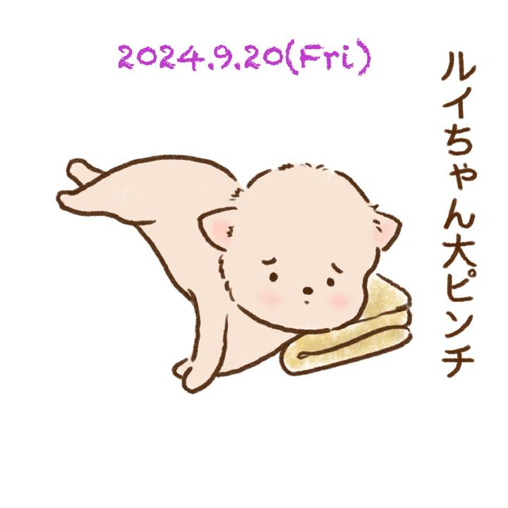60655ebe 0752 49fb b858 96905c791537 1726836704612