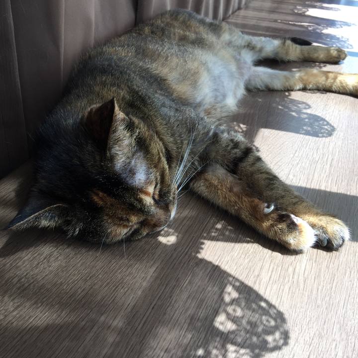 6065c59e 27ef 49af b8c6 472c2d02948f 1597718702222