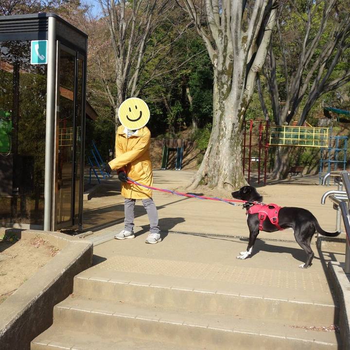 60664294 74ca 440b b7a0 856d214a647f 1586567657936