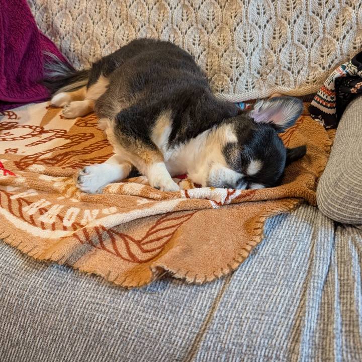 6066a141 bfd1 4af5 b20b 40855ce5f2d0 1774008398931