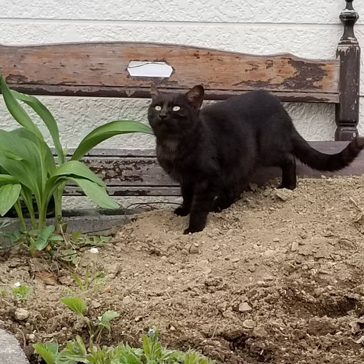 6066e138 21bf 4bd4 8e0e fbb3dbe93fd9 1558430015532