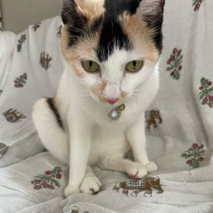 60672516 7037 4de1 bac5 0175d9b90962 1693695688702