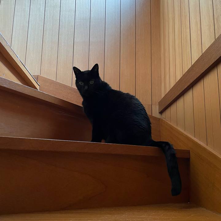 606762e8 0fa3 433a 9203 b7680c03e139 1644806169842