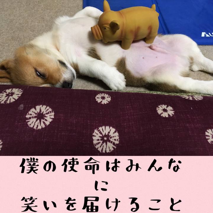 60676fc0 4a84 41bd 84b4 322cf281f704 1589934540559