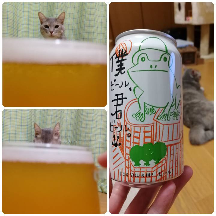 606792d9 ba02 478b 8c01 79bec40abe4c 1551533251552