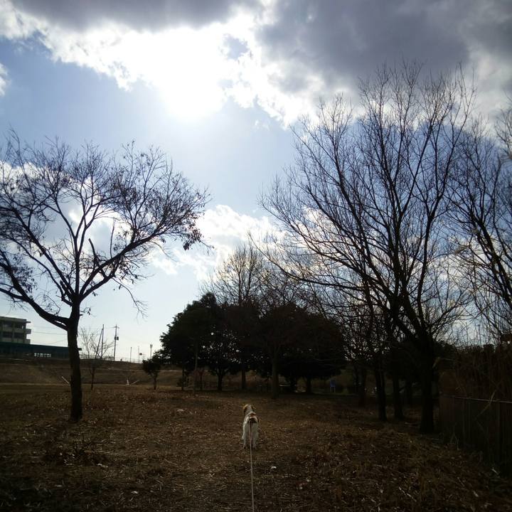 60679ecb 6d33 4191 b5ff 618ba0792571 1518874460334