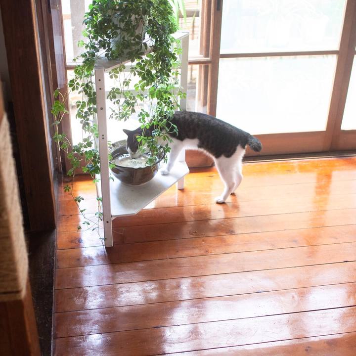 6067a049 5836 423e bae5 a511f654e7fa 1597679467644