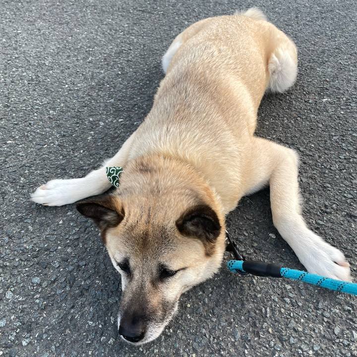 6067a2d8 87ed 4899 bf58 4a8994acbce0 1684239413089