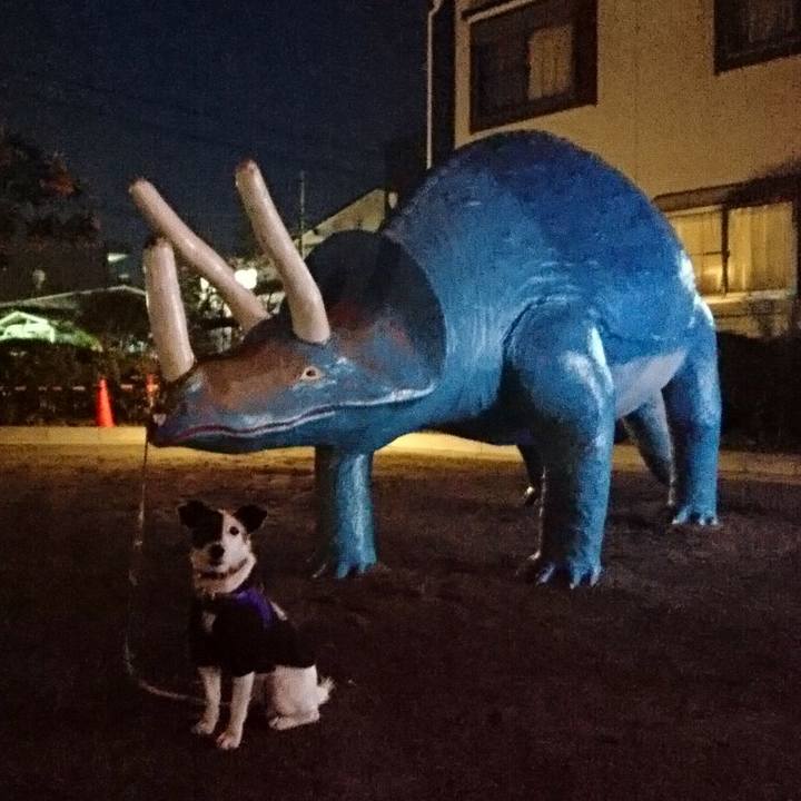 6067fd7b 3c2a 41a1 86da 864827d137c8 1518009995993