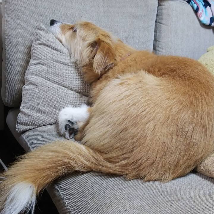 60681b54 06e0 471e 936a 5da059bf51c7 1551175574792