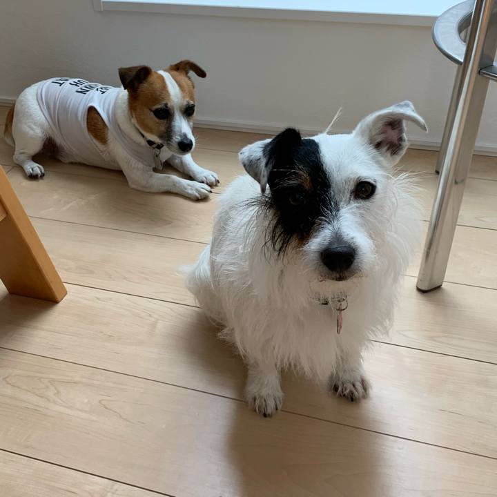 6068632e c976 4cb1 bdb2 186a8e7323b8 1593588461814