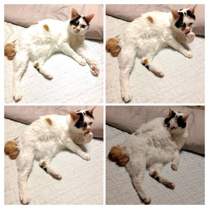 6068a34e 2a7d 4ef1 8738 2cdaaf338c27 1759758571013