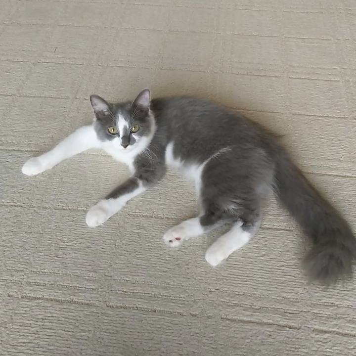 6068c4e7 406c 4ec2 b022 0b0484ca7ed7 1567328036645