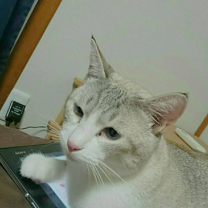 6068cc92 0187 4c7d 94bb 405102dd375a 1533268817277