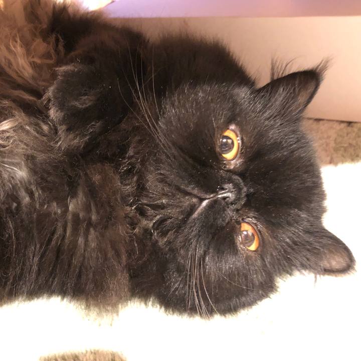 60699f76 a4be 4910 9608 c72b9ae92d71 1583038714426