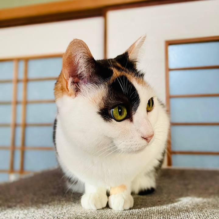 6069bb03 964f 4f4e b4f1 cd81b9001e18 1613612498584