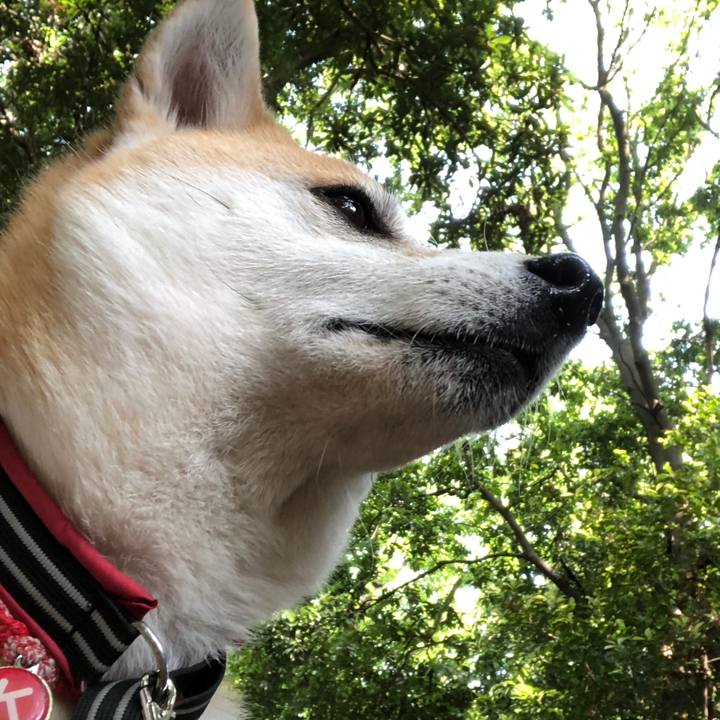 6069bb19 5664 4d6f 8a1f 4fce675a0711 1524448287693