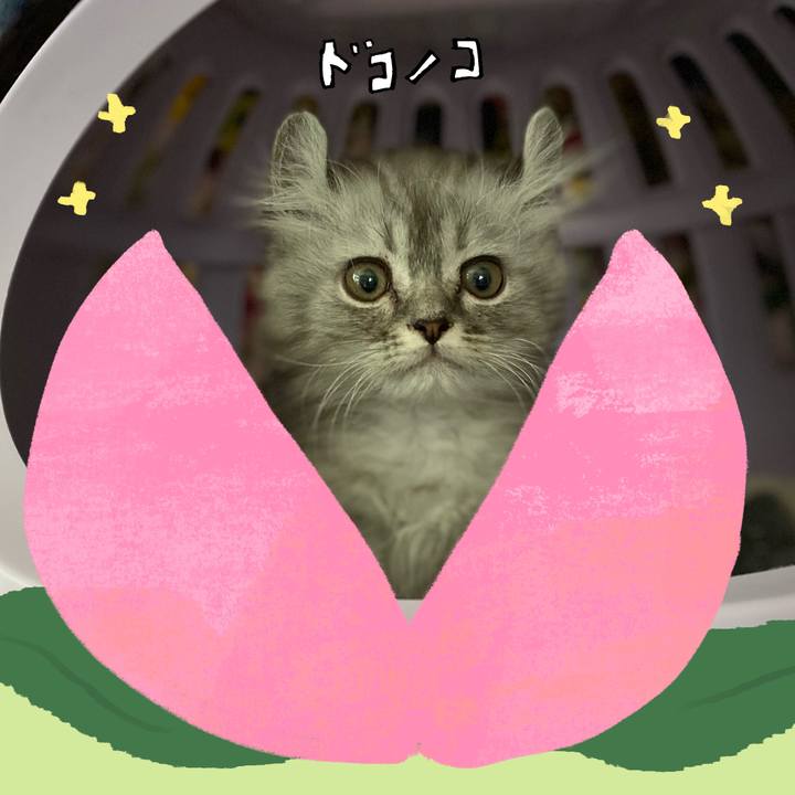 6069e6d9 43cd 4c28 bc59 b58e1107805e 1772386594761