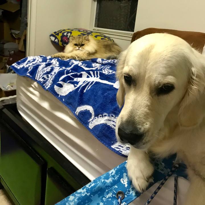 6069f155 7b30 4530 8f5f 7d2984f270d7 1547139784549