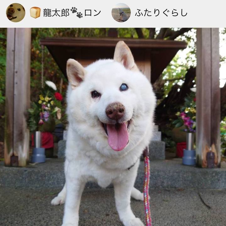 606a0abc dcd5 498d b00e add107e120d9 1718955225084