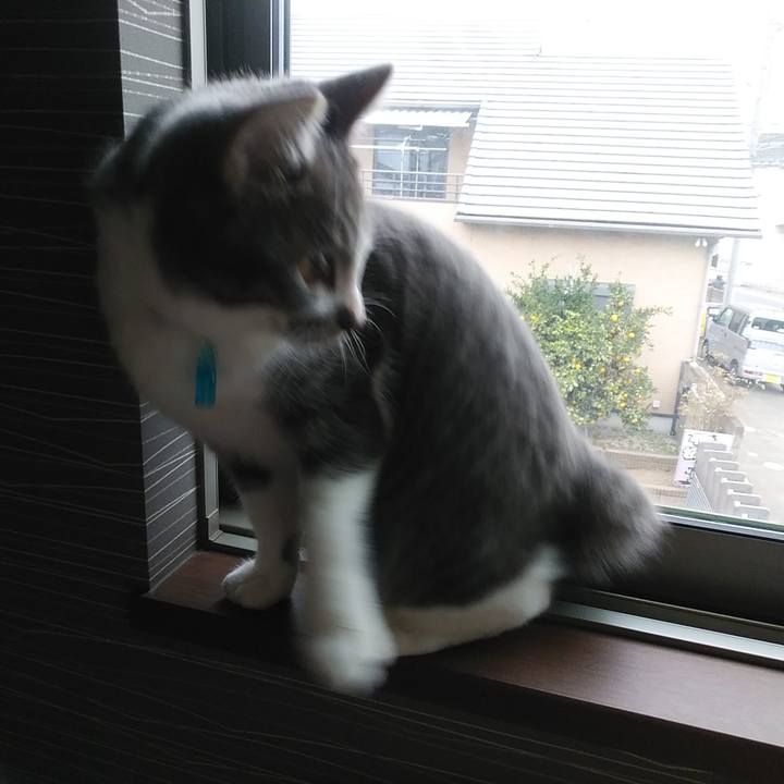 606a0cfc ef65 4699 b334 c57baf012408 1574031110170