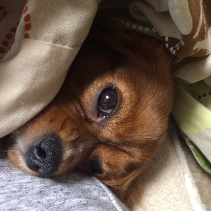 606a339f bb2e 431c af0f d28c6c1a19e9 1519645799698