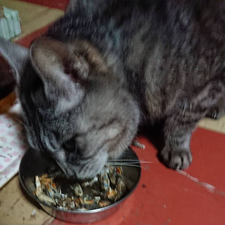 606a5a60 ef3d 43b9 8f18 3967a814199f 1551692889483