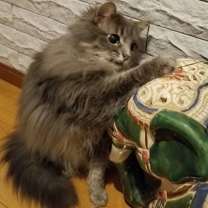 606abba7 0267 4978 80b0 5c1c88165dc2 1590266652215