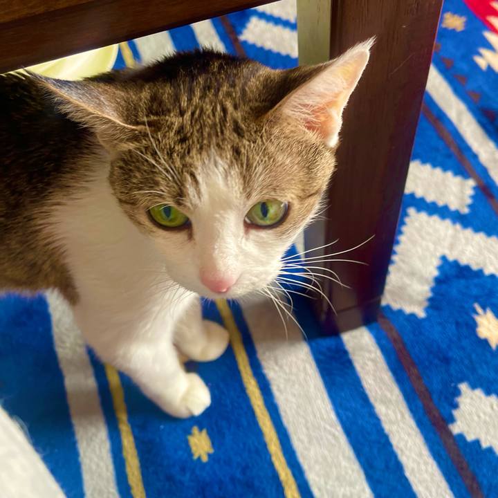 606ac97a d861 49a5 8d8d 2d85c85ad893 1635816937298