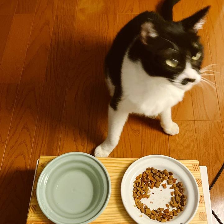 606ae68f 1541 414d 822c badc8f39aab9 1653895753972