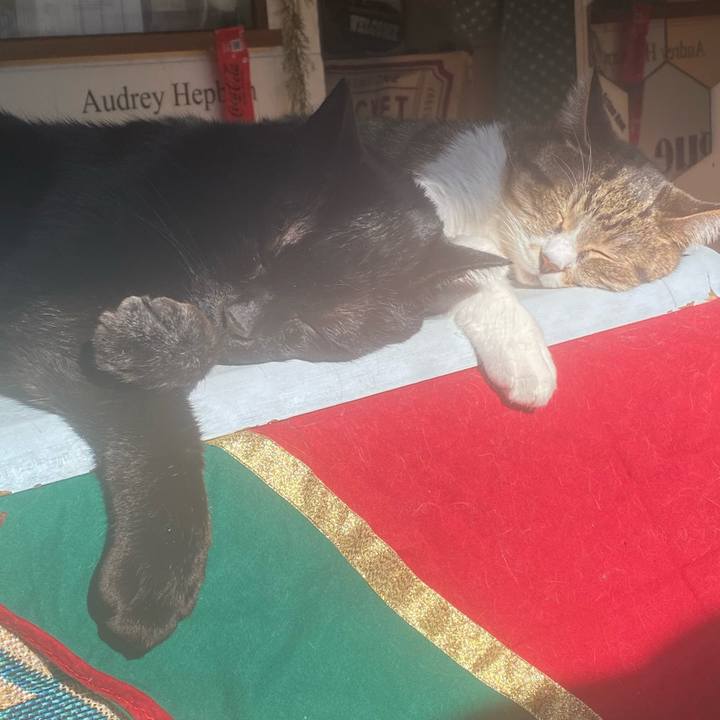 606afc24 d807 419a a374 21df340d95e2 1703300061354