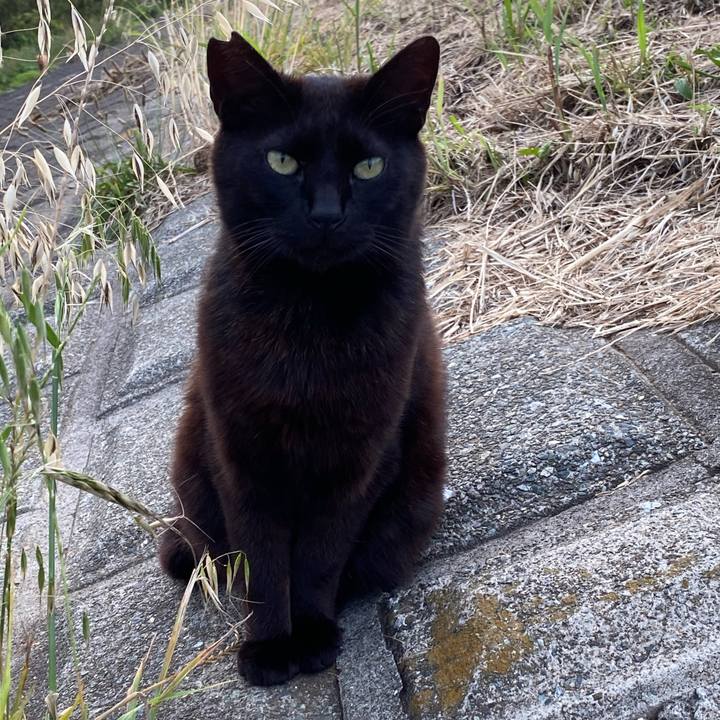 606b4701 b0b8 47d9 8970 a6672dd0681b 1755428982481