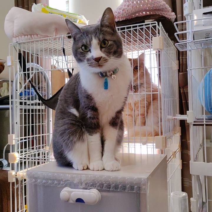 606b6110 3ecd 4588 a3ab aedcf4f17d92 1673159387429