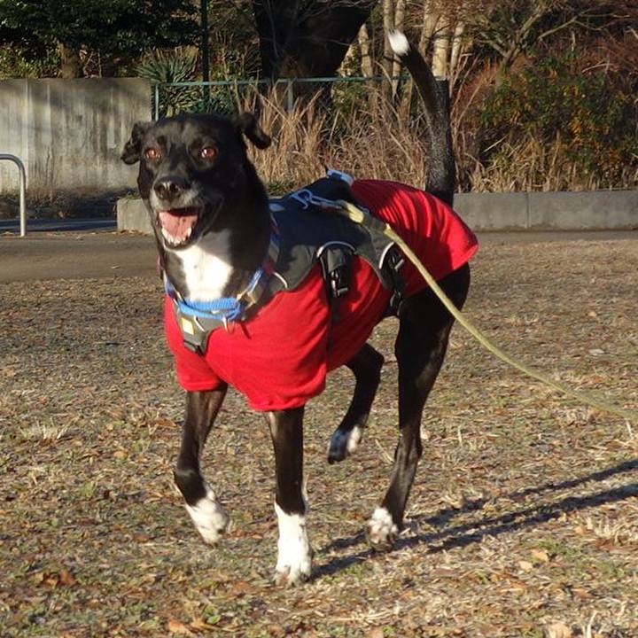 606b6301 ac81 4e2f 8494 fcd85e0fbb20 1640566387893