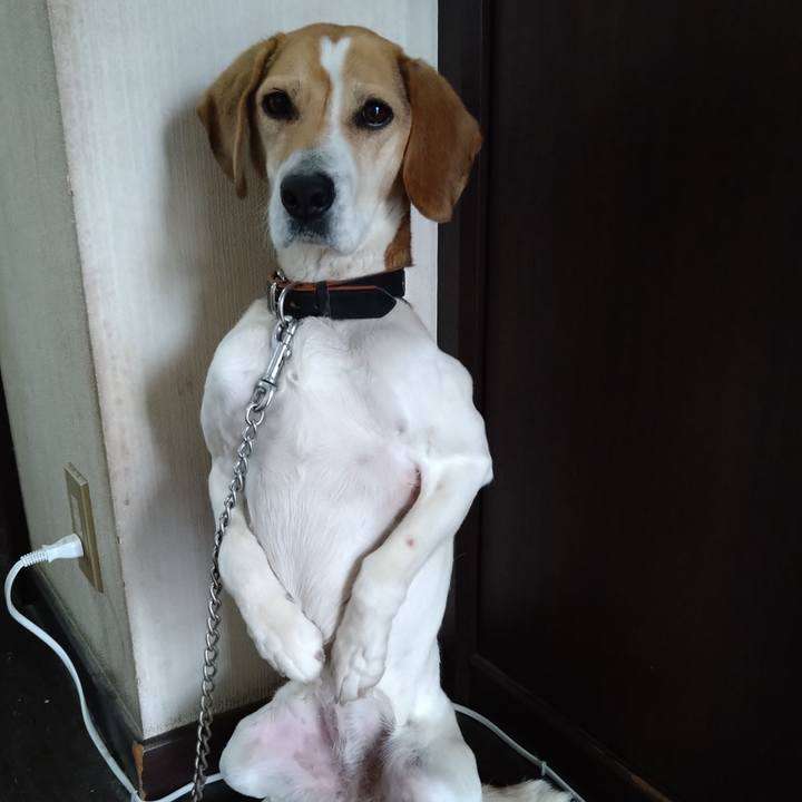 606b6433 8f4a 452c a01f 48deb34e377f 1661349826863