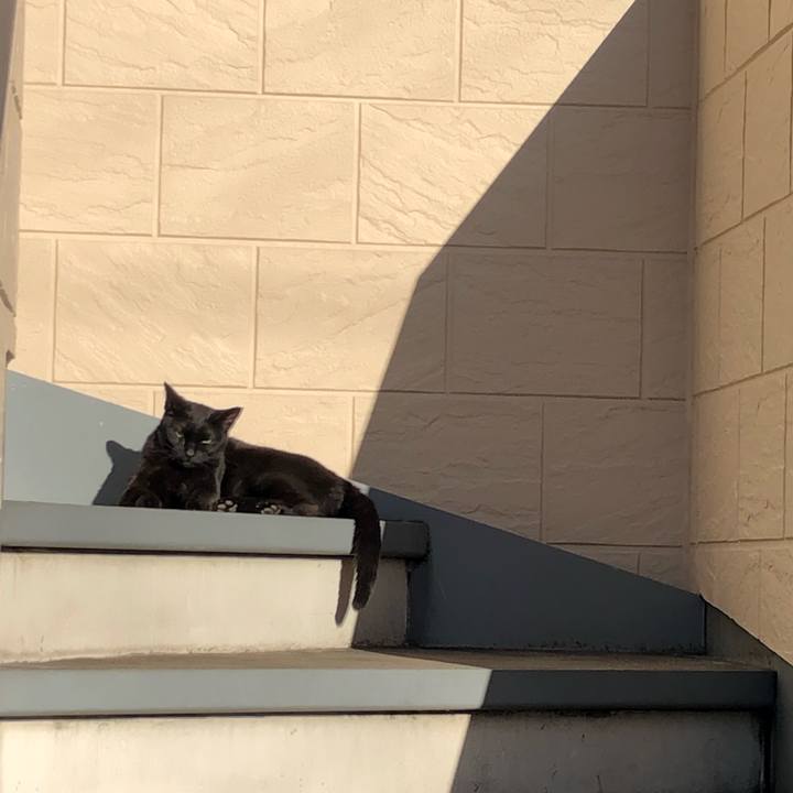 606b8b15 fa97 4ed9 ae56 e328f2e8a2be 1552336317688