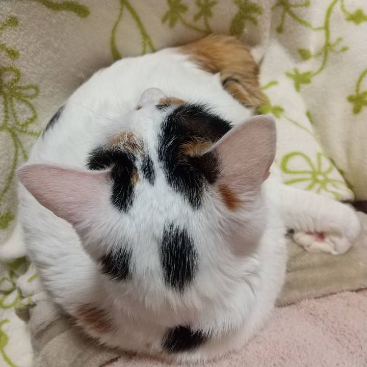 606bd188 91bb 41cf a449 bcdde512e4dd 1649934296969