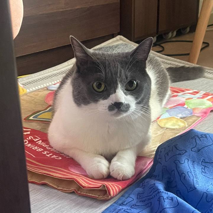 606c177b 1971 4896 9f9f 42eebf5ff9bf 1754090085964