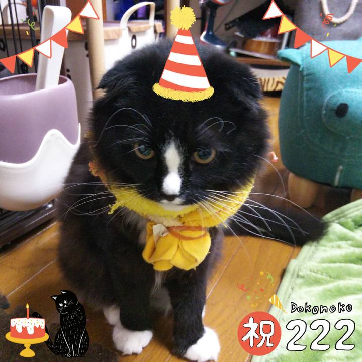 606c4d25 a1aa 4618 afbf 1fc53858cb1e 1645491914429