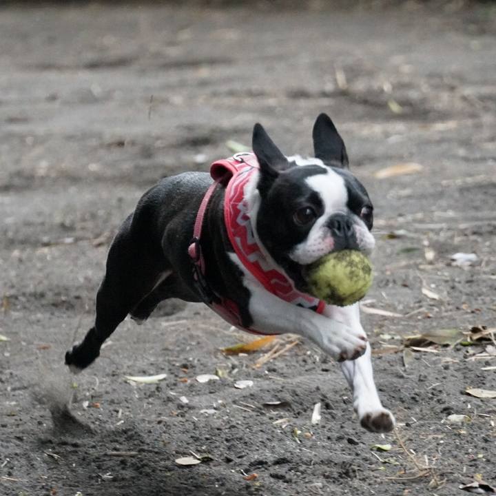 606cb6b7 1b60 4982 ae7d 533a7b079ef1 1553260767668