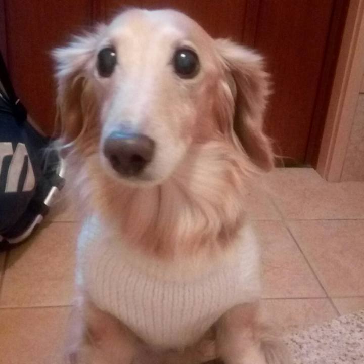 606cbd58 d1ab 4ac7 931b b8a88118bd95 1544521353309