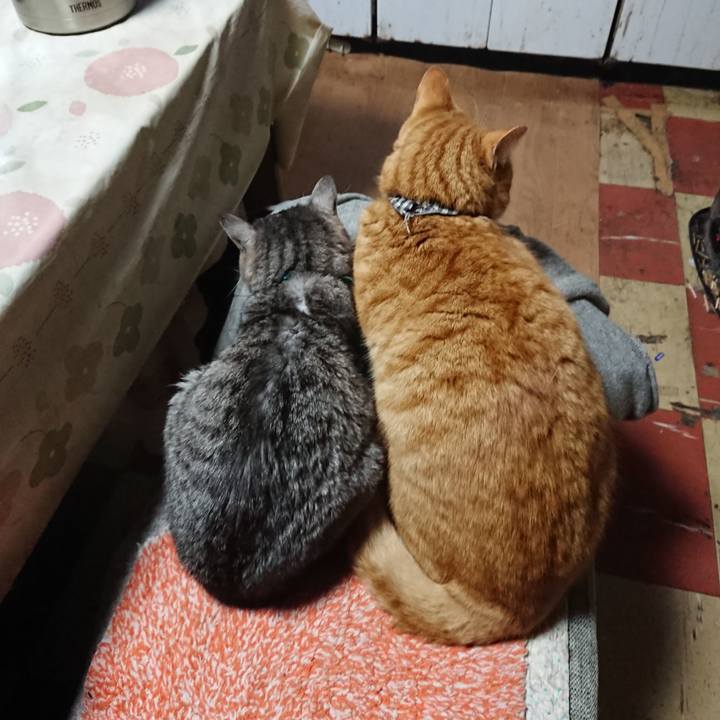 606cbef4 ad54 4a51 8ba8 2359734d4749 1575669826648