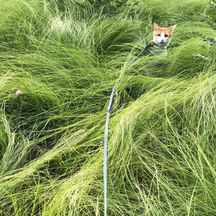 606cc179 335e 4d5f acb9 38971cce8371 1539417376288