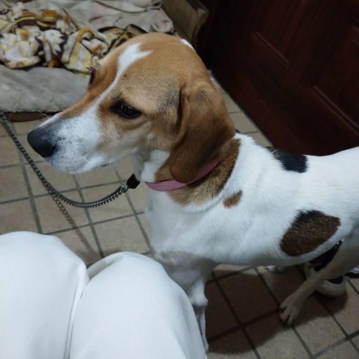 606d0483 4f2d 4458 af59 488007f79ffe 1578475296551