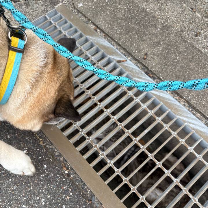 606d3b27 8001 4da2 b647 d3c3f4a13486 1748867876483