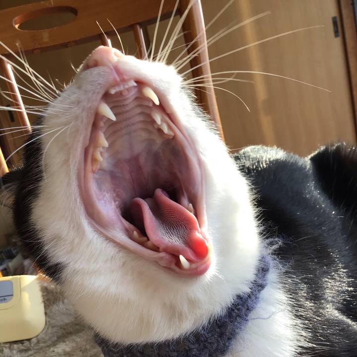 606d406e 39b3 4e2e 8f93 b13a5fc1ae48 1667093934978