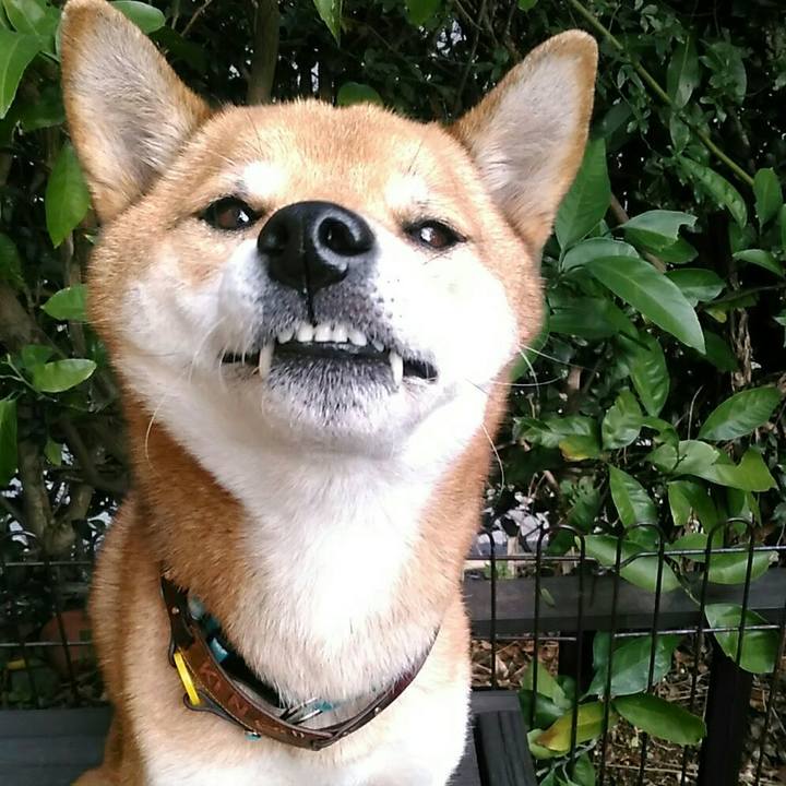 606d5ebd 9732 4eb8 b1e2 d941e0c9c1a2 1542690400771